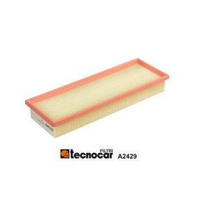 Compre Filtro de ar da TECNOCAR A2429 a um preço baixo por 53,88 €