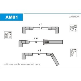 Compre Cabos de velas de JANMOR online para F-150 IX Pick-up a preços moderados