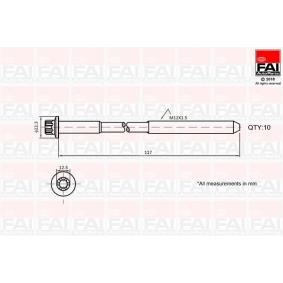Osta Syl.kannen pulttisarja FAI AutoParts:llä B1018 edullisesti hintaan 28,81 €