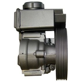 Servopumpe BPG80S von WAT günstig für 190,64 € online kaufen