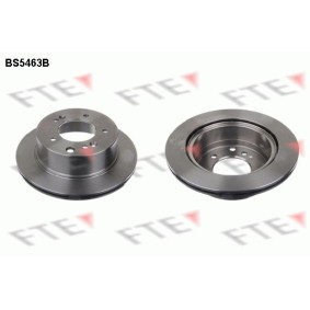 Bremsscheibe BS5463B von FTE günstig für 89,99 € online kaufen