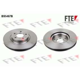 Bremsscheibe BS5487B von FTE günstig für 73,37 € online kaufen