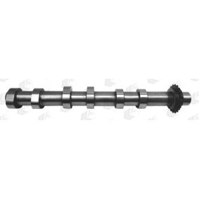 Nockenwelle CAM985 von AE günstig für 261,96 € online kaufen
