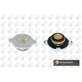 Achetez des Bouchon de liquide de refroidissement BGA CC3051 à prix pour 5,02 €