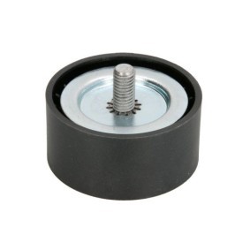 Umlenk- / Führungsrolle, Keilrippenriemen E2W0050BTA von BTA günstig für 32,97 € online kaufen