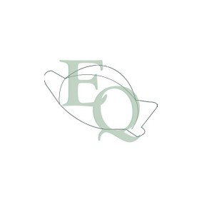 Acquista Griglia paraurti da EQUAL QUALITY G1470 a buon mercato per soli 11,96 €