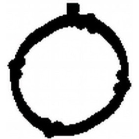 Abgaskrümmerdichtung von BGA MG6736