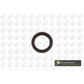 Kurbelwellensimmering OS1331 von BGA günstig für 7,26 € online kaufen