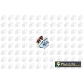 Acquista Vite di chiusura, vaschetta dell'olio da BGA PK6300 a buon mercato per soli 41,02 €