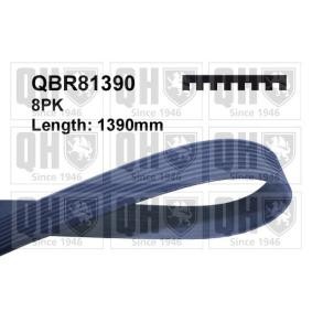 Keilrippenriemen QBR81390 von QUINTON HAZELL günstig für 20,56 € online kaufen
