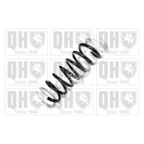 Acquista Molle ammortizzatori da QUINTON HAZELL QCS7290 a buon mercato per soli 58,23 €