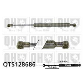 Acquista Ammortizzatore pneumatico cofano motore da QUINTON HAZELL QTS128686 a buon mercato per soli 39,18 €