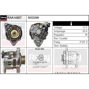 Lichtmaschine RAA14907 von DELCO REMY günstig für 148,41 € online kaufen