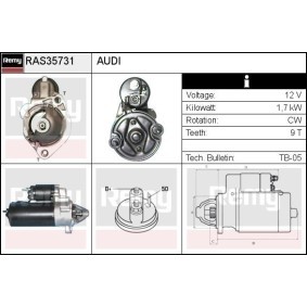 Anlasser RAS35731 von DELCO REMY günstig für 108,81 € online kaufen