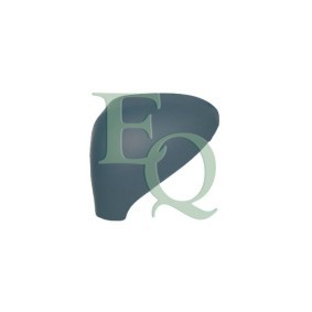 Achetez des Revêtement, rétroviseur extérieur EQUAL QUALITY RD02203 à prix pour 17,77 €