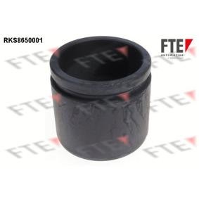 Kolben, Bremssattel RKS8650001 von FTE günstig für 26,72 € online kaufen