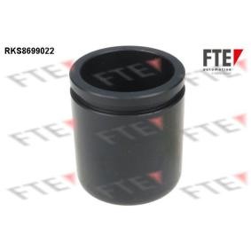 Kolben, Bremssattel RKS8699022 von FTE günstig für 18,38 € online kaufen