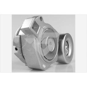 Acquista Rullo tenditore cinghia Poly-V da HUTCHINSON T0504 a buon mercato per soli 194,58 €