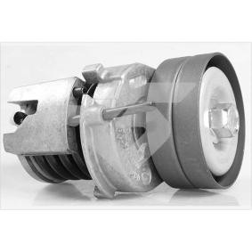 Acquista Rullo tenditore cinghia Poly-V da HUTCHINSON T0647 a buon mercato per soli 71,47 €