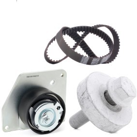 Comprar Kit de correa de distribución de RIDEX 307T0253 a bajo precio de 64,48 €
