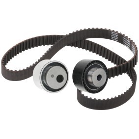 Achetez des Kit de distribution RIDEX 307T0272 à prix pour 48,18 €