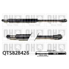 Motorhaubendämpfer QTS828426 von QUINTON HAZELL günstig für 18,81 € online kaufen