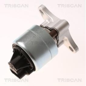 Acquista Valvola EGR da TRISCAN 8813 21026 a buon mercato per soli 148,51 €