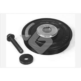 Acquista Kit pulegge, Albero motore / a gomito da HUTCHINSON DP016S a buon mercato per soli 99,13 €