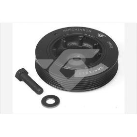 Acquista Kit pulegge, Albero motore / a gomito da HUTCHINSON DP033S a buon mercato per soli 65,82 €