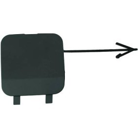 Klappe, Abschlepphaken 1815066 von DIEDERICHS günstig für 10,38 € online kaufen