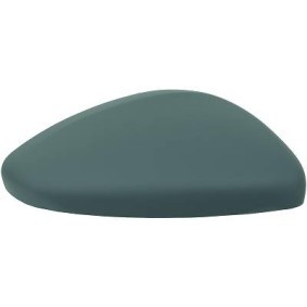 Abdeckung, Außenspiegel 4227126 von DIEDERICHS günstig für 25,48 € online kaufen