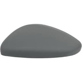 Abdeckung, Außenspiegel 4227127 von DIEDERICHS günstig für 18,51 € online kaufen