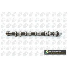 Nockenwelle CS3620 von BGA günstig für 197,64 € online kaufen