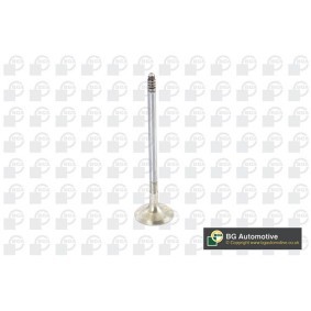 Auslaßventil V090106 von BGA günstig für 12,71 € online kaufen