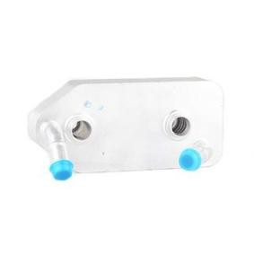 Compre Radiador de óleo, caixa de velocidades automática da BSG BSG 90-506-007 a um preço baixo por 74,69 €