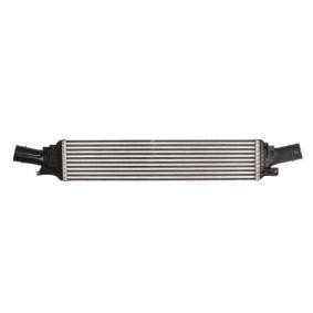 Achetez des Intercooler THERMOTEC DAA012TT à prix pour 97,94 €