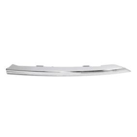 Acquista Modanatura paraurti da BLIC 5703-05-3222921P a buon mercato per soli 30,20 €