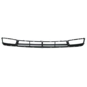 Acquista Griglia paraurti da BLIC 6502-07-3150910P a buon mercato per soli 19,74 €