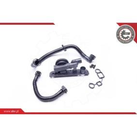 Reparatursatz, Kurbelgehäuseentlüftung 31SKV005 von ESEN SKV günstig für 81,70 € online kaufen