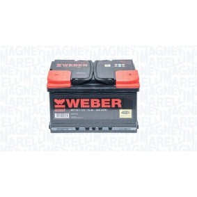 Batterie 067075720002 von MAGNETI MARELLI günstig für 153,11 € online kaufen
