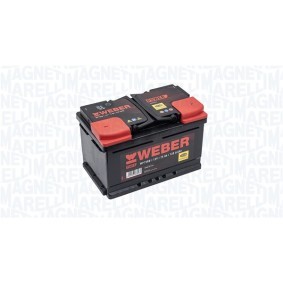 Achetez des Batterie MAGNETI MARELLI 067075720202 à prix pour 156,03 €