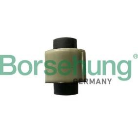 Acquista Supporto braccio oscillante da Borsehung B18722 a buon mercato per soli 7,91 €