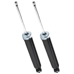 Compre Amortecedores de RIDEX online para Classe E T-modell (S212) a preços moderados