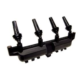 Zündspule BOBEN015 von LIZARTE günstig für 62,80 € online kaufen
