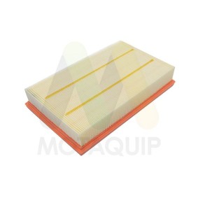 Achetez des Filtre à air MOTAQUIP LVFA1673 à prix pour 22,85 €