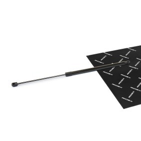 Achetez des Vérin de coffre RIDEX 219G0592 à prix pour 16,28 €