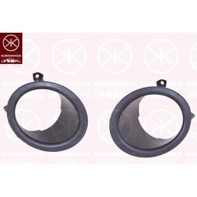 Gehäuse, Nebelscheinwerfer 0551920 von KLOKKERHOLM günstig für 37,63 € online kaufen
