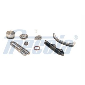 Steuerkettensatz TK08-1103 von FRECCIA günstig für 373,26 € online kaufen