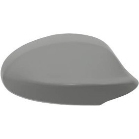 Abdeckung, Außenspiegel 1216028 von DIEDERICHS günstig für 31,72 € online kaufen