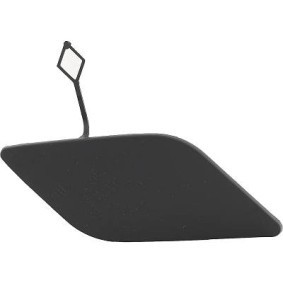 Klappe, Abschlepphaken 1616064 von DIEDERICHS günstig für 18,00 € online kaufen
